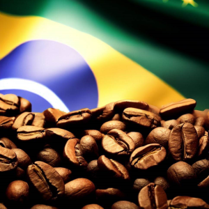 Café du Brésil Bobolink