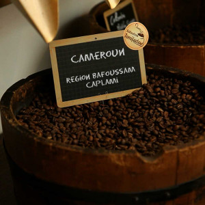 cafe-cameroun