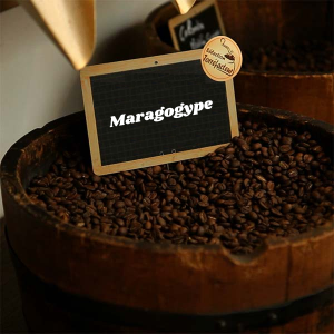 Café Nicaragua Dipilto - Buenos Aires - Maragogype, 1kg
